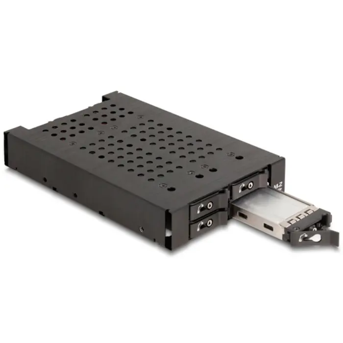 DeLOCK 3.5? Removable frame for 4 x M.2 NVMe SSD
