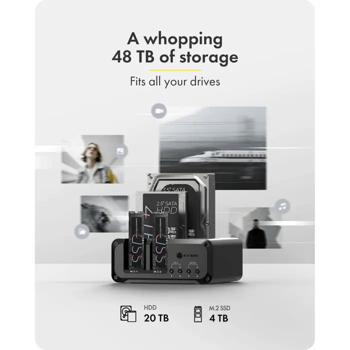 Icy Box IB-2925MS-CU31 (black)