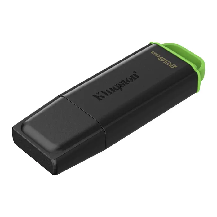 Kingston DataTraveler Exodia 256 GB (black/green, USB-A 3.2 Gen 1)