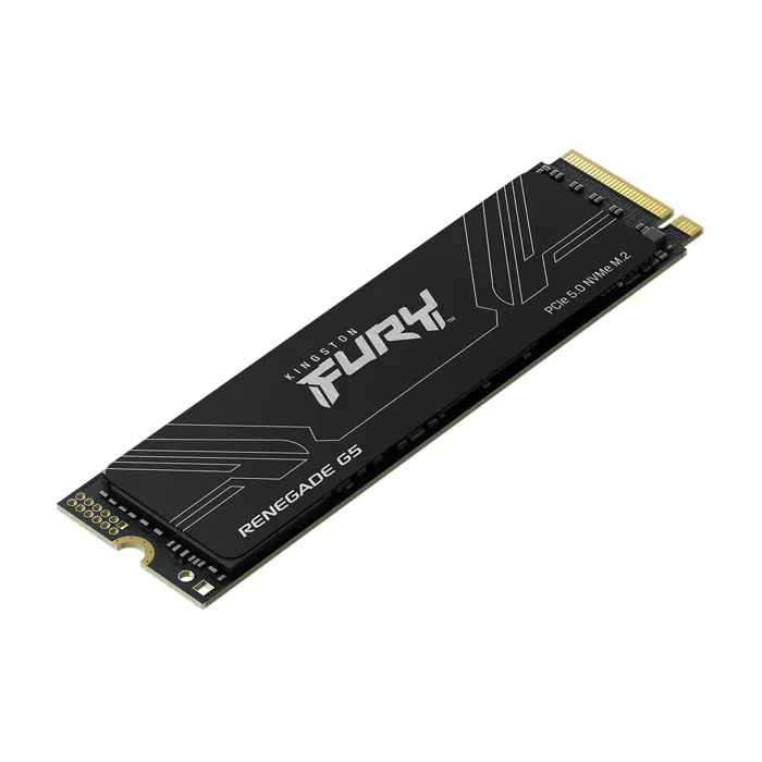 Kingston Technology 4T FURY RENEGADE G5 M.2 2280 NVMe SSD