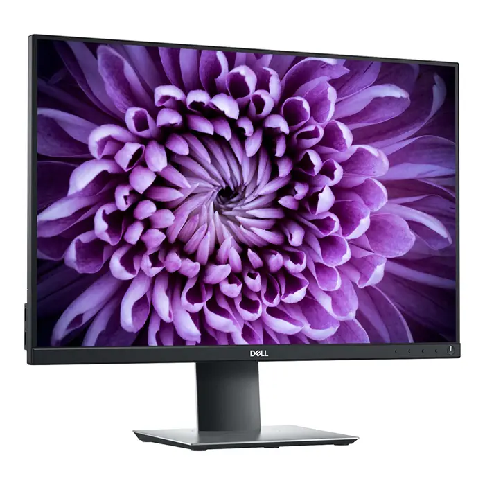 lcd-dell-24-p2421-blacksilver1920x1200-10001-300-cdm2-vga-dv-15994-nmr4-000240.webp