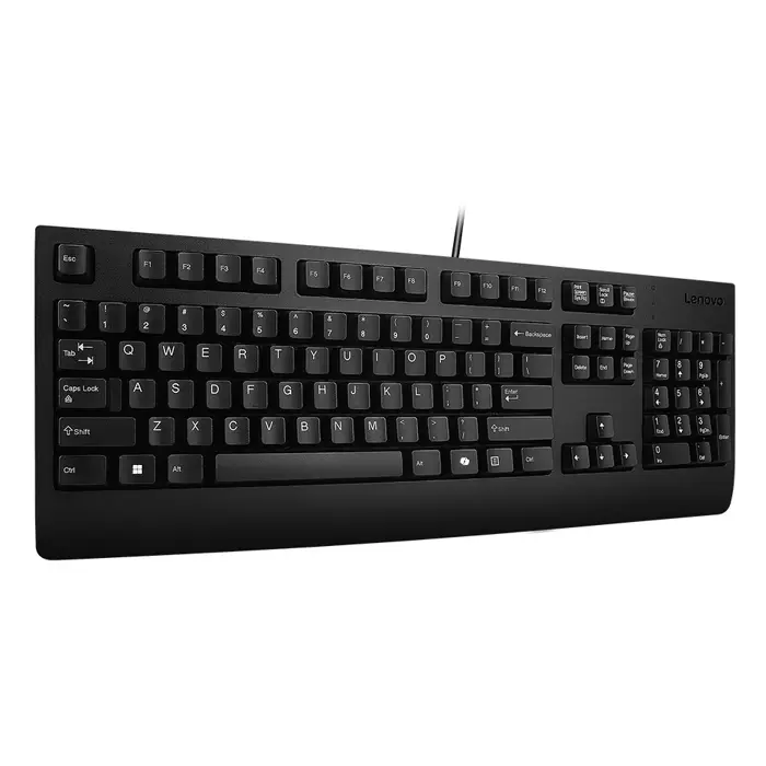 Lenovo Preferred Pro II keyboard Home/Office USB German Black
