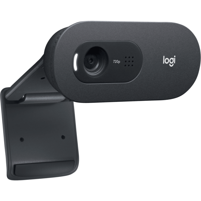 Logitech C505e HD webcam