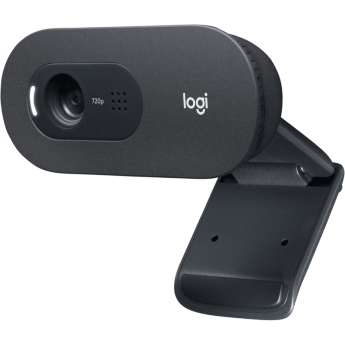 Logitech C505e HD webcam
