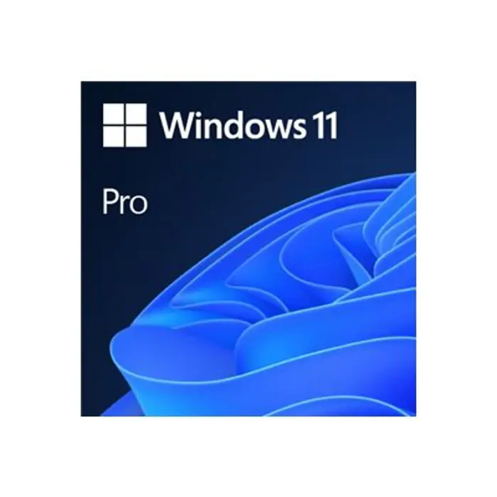 MS 1x Win 11 Pro 64Bit DVD OEM (EN)