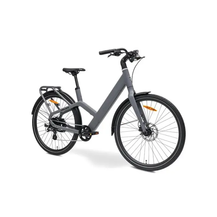 MS ENERGY eBike Veles Grey