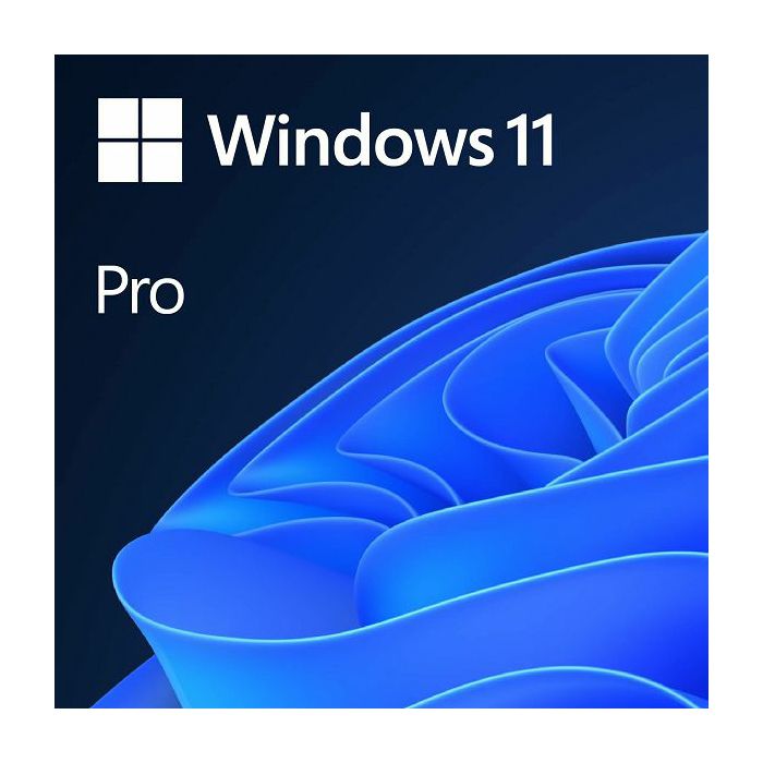 MS Windows 11 Professional 64-bit Eng