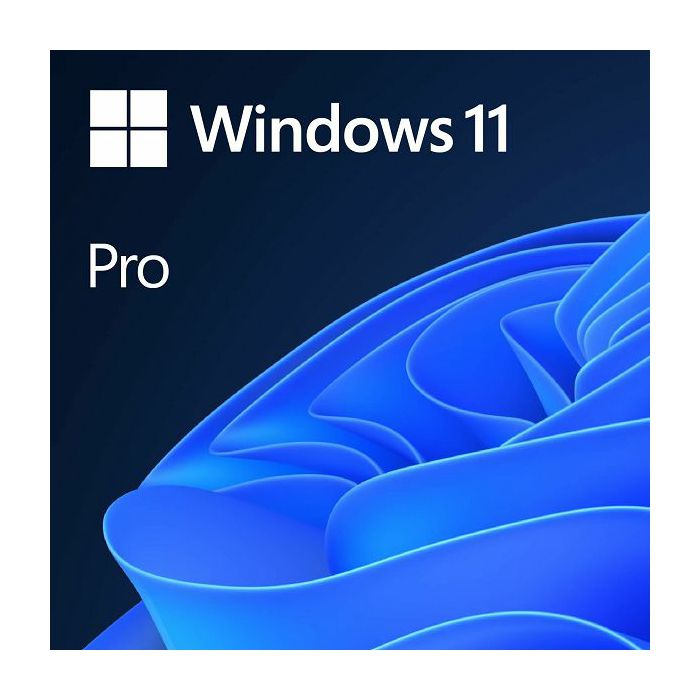 MS Windows 11 Professional 64-bit Cro