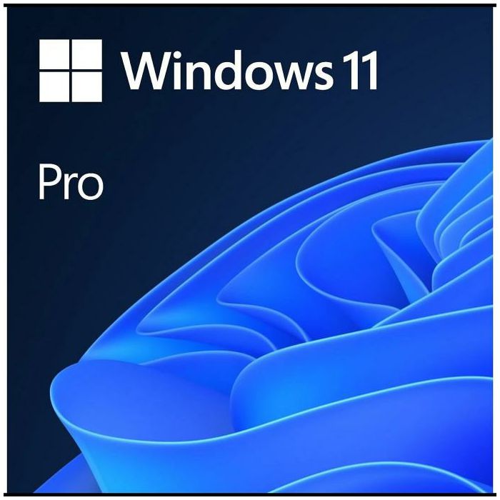 MS Windows 11 Pro, ESD + Instalacija (Samo uz kupnju računala) 