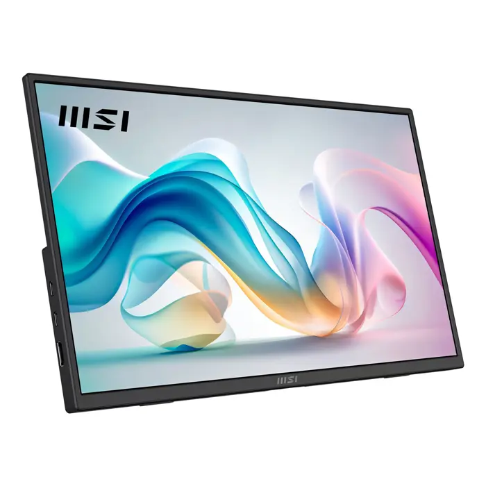 MSI PRO MP165DE E6 portable TV/monitor Portable monitor Black 39.6 cm (15.6") LED 1920 x 1080 pixels