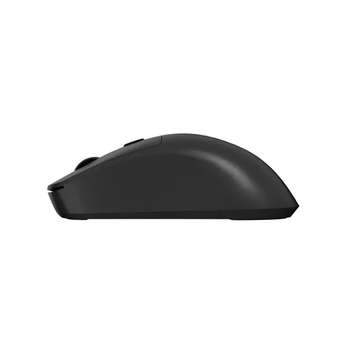NATEC WIRELESS SET 2IN1 SQUID US