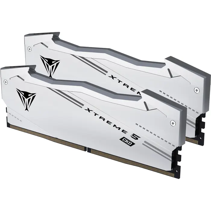Patriot DDR5 - 48GB - 9200 - CL - 44 (2x 24 GB) Dual Kit, silver RAM, VX548G9244CK, Viper Xtreme 5 CKD, INTEL XMP