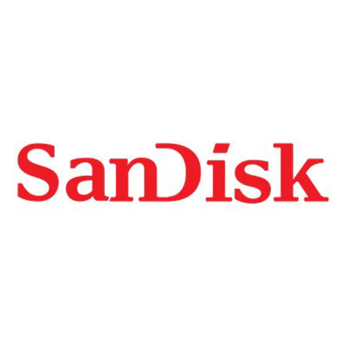 SANDISK Portable SSD 1TB USB 3.2 USB-C