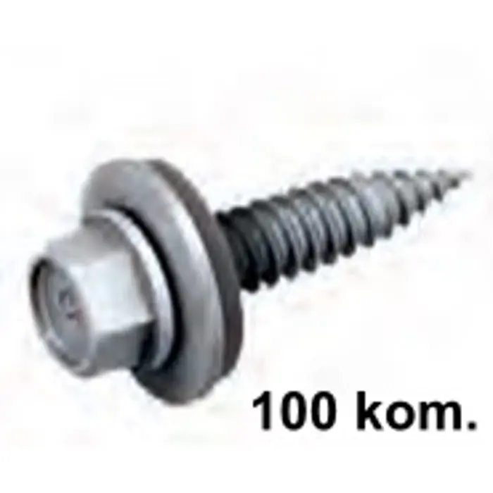 self-drilling-screw-55-x-25-sw8-e16-100-kom-67664-ren-400301box.webp