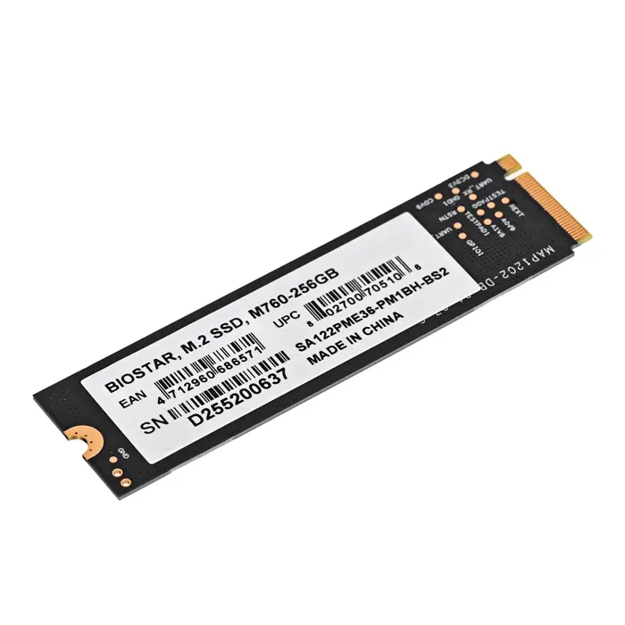 SSD Biostar M760 256GB