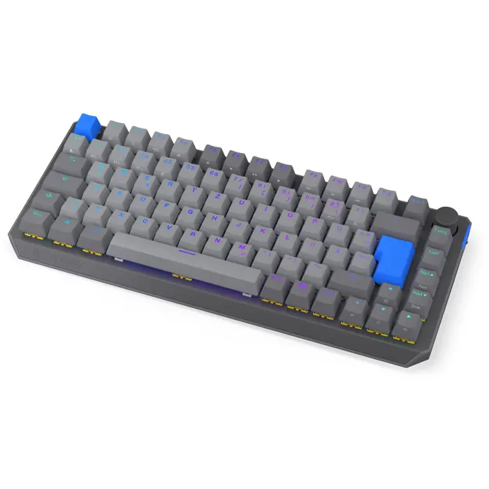 Thock V2 75% Wireless (gray, DE layout, ENDORFY Yellow by Gateron)