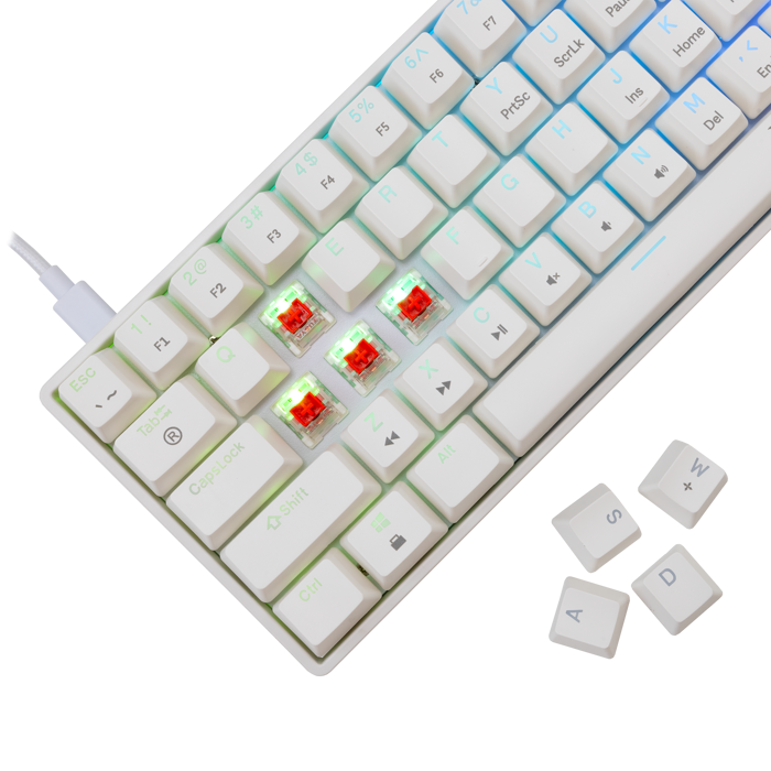 WHITE SHARK gaming tipkovnica GK-004211 SHINOBI-2 bijela crv.sw. US